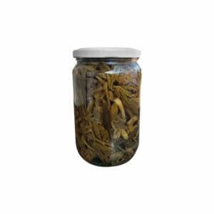 Kaya koruğu 250gr